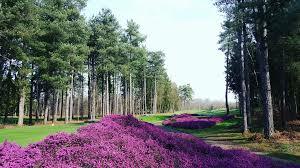 INTERCLUB CHAMP DE BATAILLE...PRECISIONS