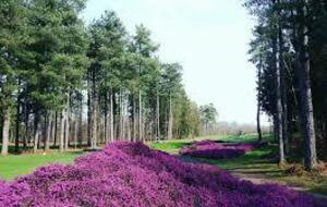 INTERCLUB CHAMP DE BATAILLE...PRECISIONS