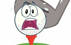 67b1a92a4da42_DESSINGOLF7.jpg