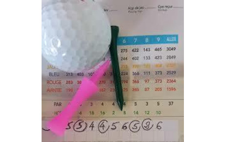 COMPETITION RINGER SCORE 2025
