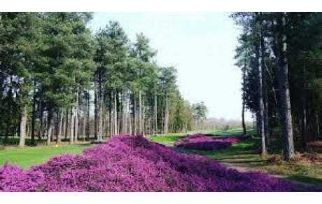 L'INTERCLUB CONTRE CHAMP DE BATAILLE, CHEZ NOUS,  EST EN LIGNE SUR ISP !